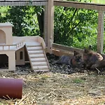 Ferienbauernhof Moosbrugger