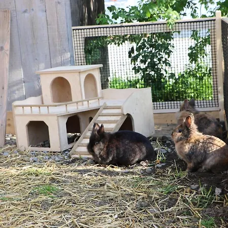 Ferienbauernhof Moosbrugger *