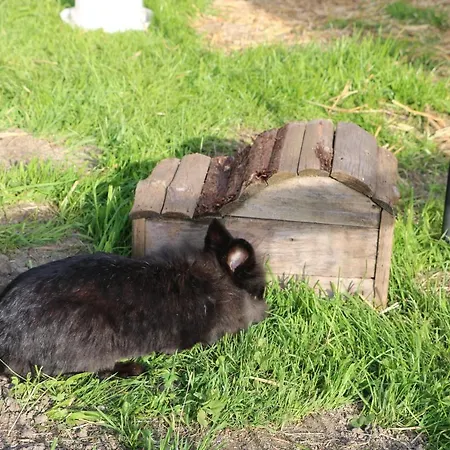 Apartman Ferienbauernhof Moosbrugger *