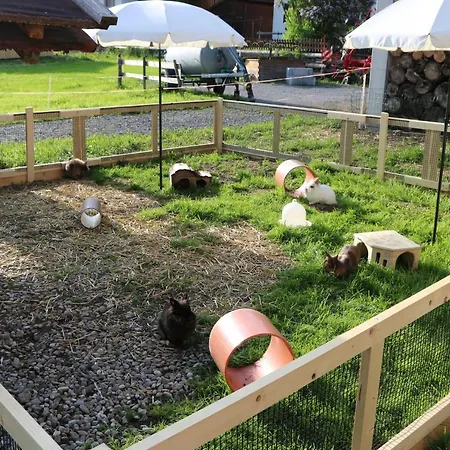 Ferienbauernhof Moosbrugger Apartamento