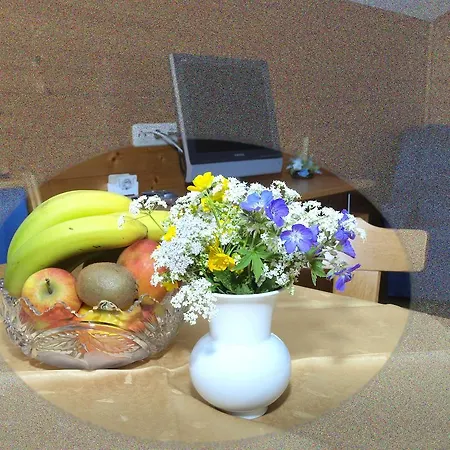 Apartment Ferienbauernhof Moosbrugger Schoppernau