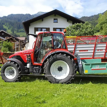 Apartman Ferienbauernhof Moosbrugger Schoppernau