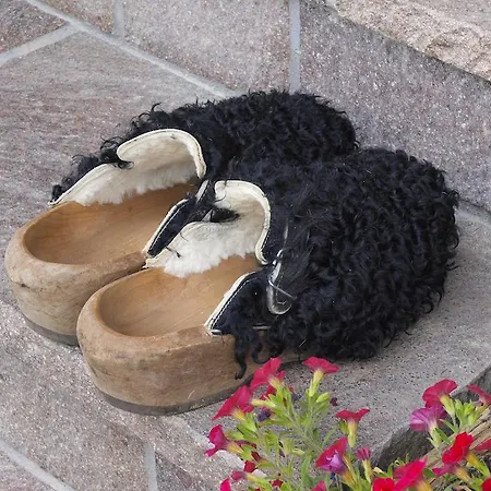 Ferienbauernhof Moosbrugger Schoppernau