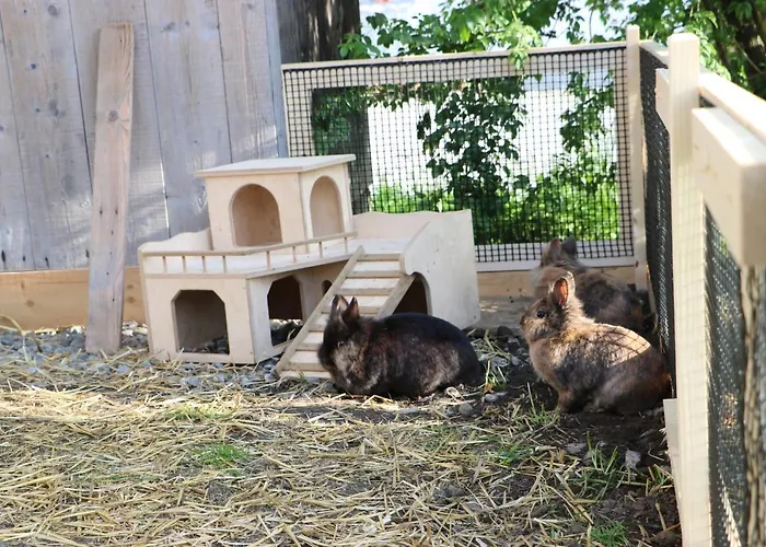 Ferienbauernhof Moosbrugger *