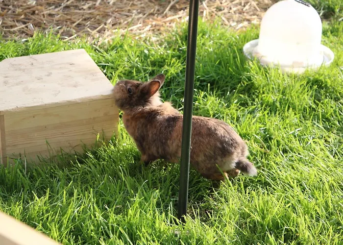 Ferienbauernhof Moosbrugger Apartment