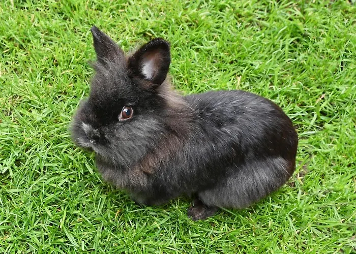 Apartment Ferienbauernhof Moosbrugger Schoppernau