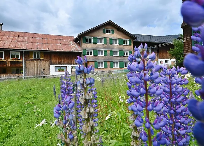 Ferienbauernhof Moosbrugger Apartment *