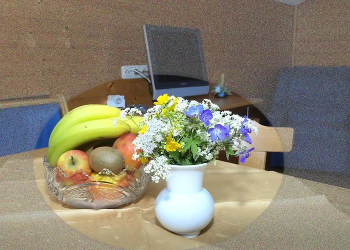 Apartment Ferienbauernhof Moosbrugger Schoppernau