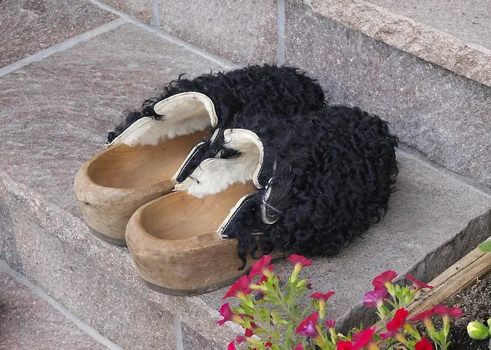 Ferienbauernhof Moosbrugger Schoppernau